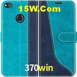 Integração de APIs 370win